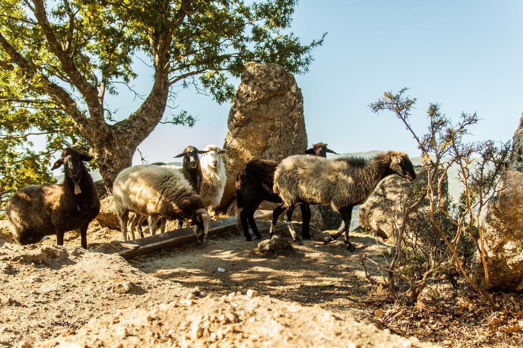 La Taverna Dei Briganti Hotel Cotronei Luaran gambar
